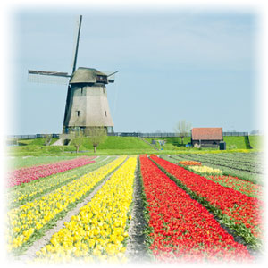 Die Niederlande und Holland haben viel zu bieten. Blick auf einen Hafen mit einer Mühle.